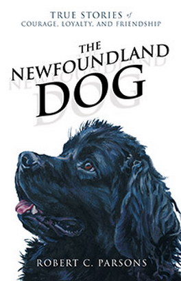Flanker Press The Newfoundland Dog